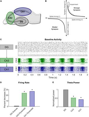 Frontiers Plasticity Impairment Alters Community Structure But